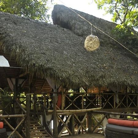 Dominican Tree House Village Santa Barbara De Samana Exterior foto